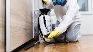 Reliable Brooklyn, OH Pest Control Solutions